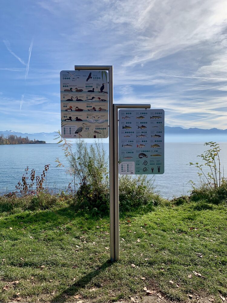 Supports inox pour panneaux — Bord du lac